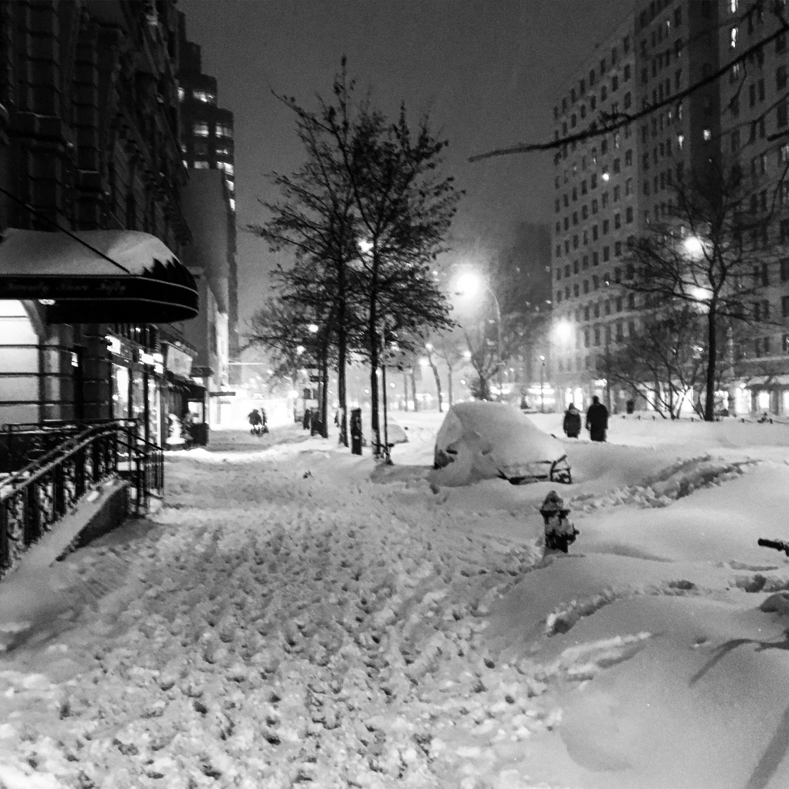 Robert Santoré © 2010 to 2023